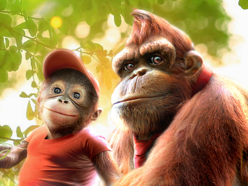 Orangutan Donkey Kong Country 2: Diddy's Quest Returns 64 PNG