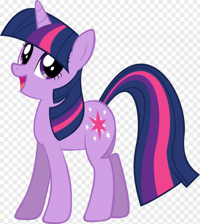 Sparkle My Little Pony Rainbow Dash Horse DeviantArt PNG
