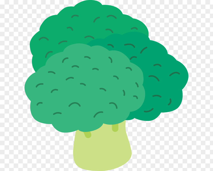 Broccoli ビルクリーニング Child Clip Art PNG