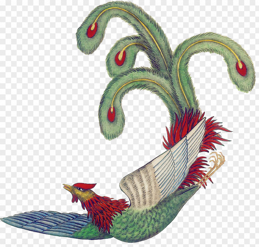 Color Peacock Fenghuang Download PNG