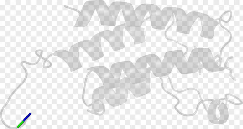 Design White Clip Art PNG