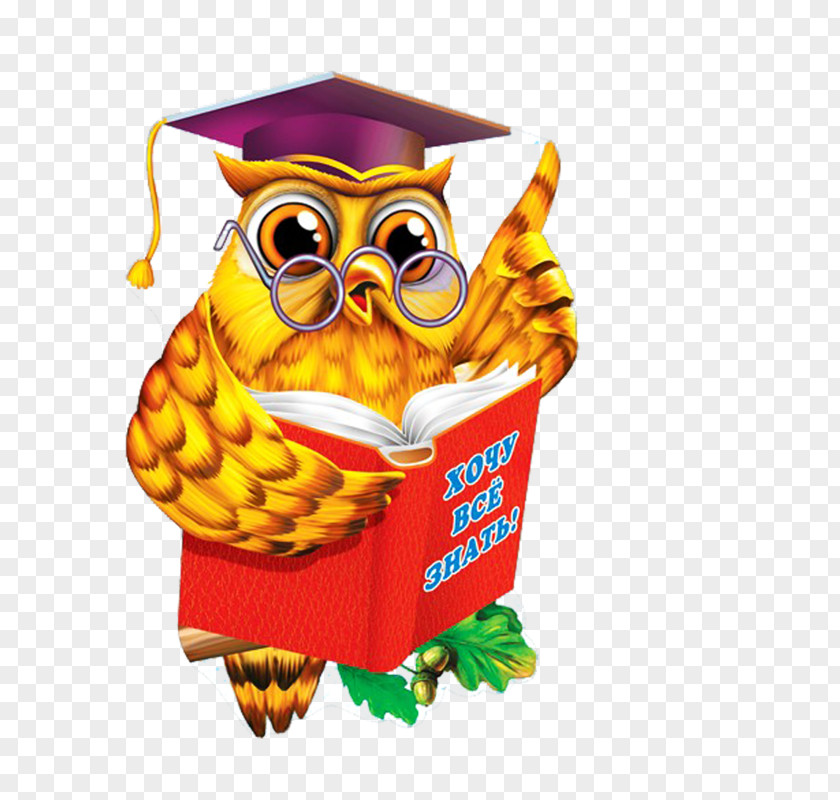 Dr. Cartoon Owl Painted Gold Diploma Paper Kindergarten Gramota Graduation Ceremony PNG