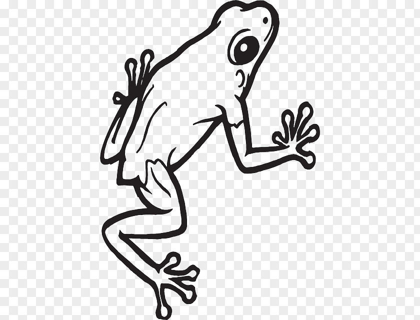 Frog Ornament Clip Art PNG