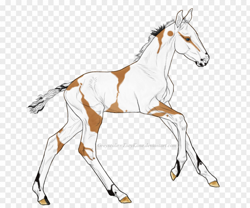 Mustang Mane Foal Bridle Stallion PNG