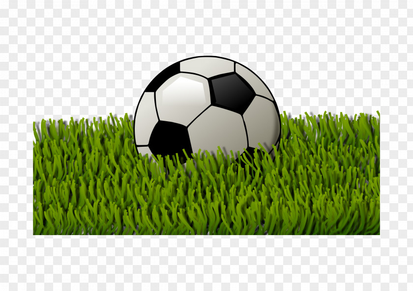 Soccer Ball Football Pitch Stadium Clip Art PNG