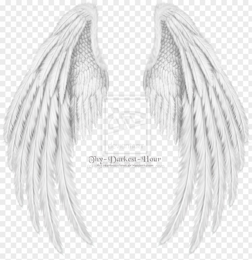 Angel Drawing Cherub Wing PNG