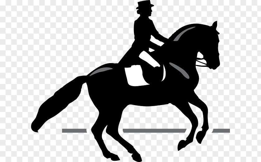 Horse Dressage Equestrian Equitation Clip Art PNG