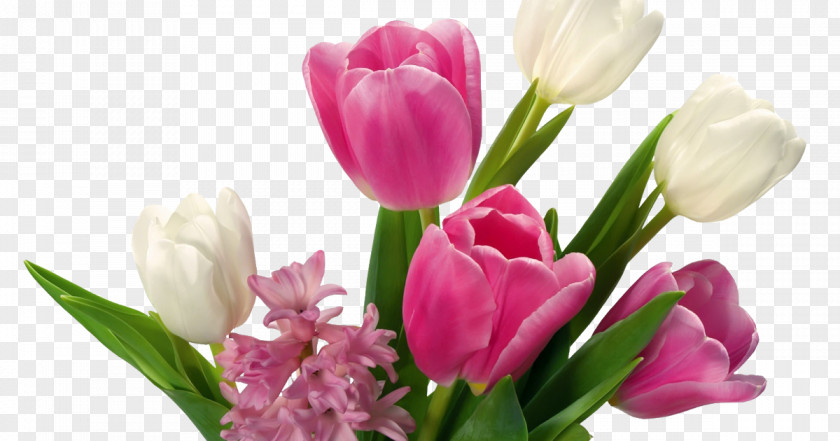 Hyacinth Flower Bouquet Desktop Wallpaper Clip Art PNG