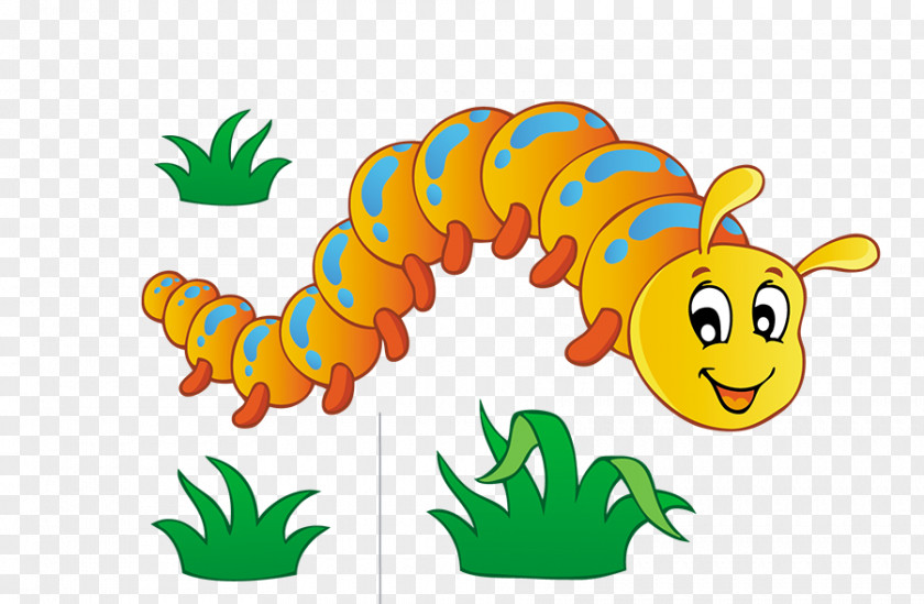 Insect Free Content Clip Art PNG