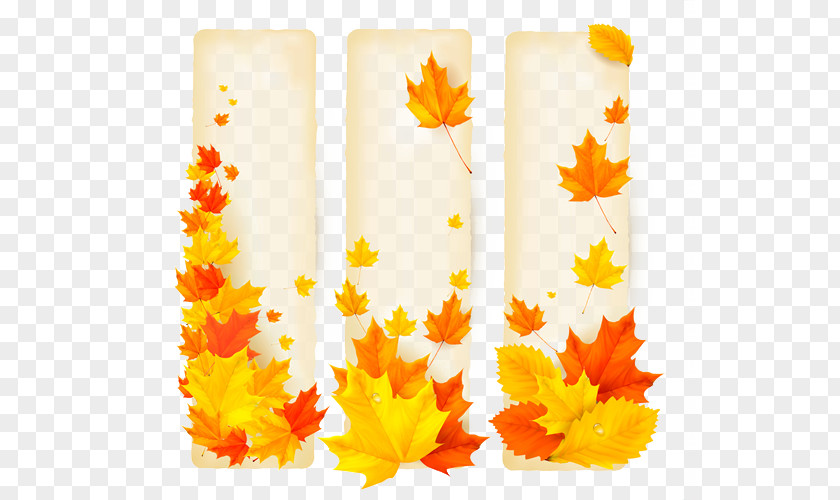 Textured Maple Leaf Design Elements Banner School Autumn Advertising PNG