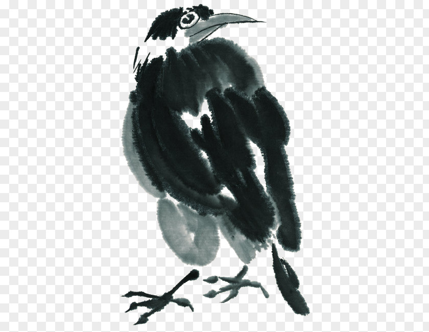 Birds Bird Ink Wash Painting PNG