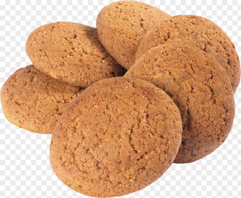 Biscuit Oatmeal Raisin Cookies Cracker Confectionery PNG