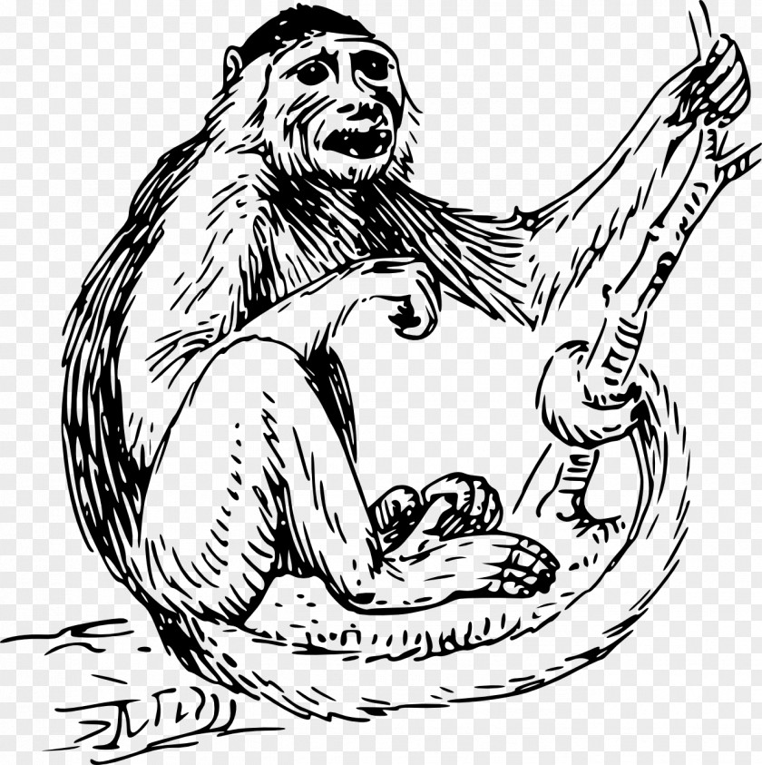 Black Monkey Ape Capuchin Clip Art PNG