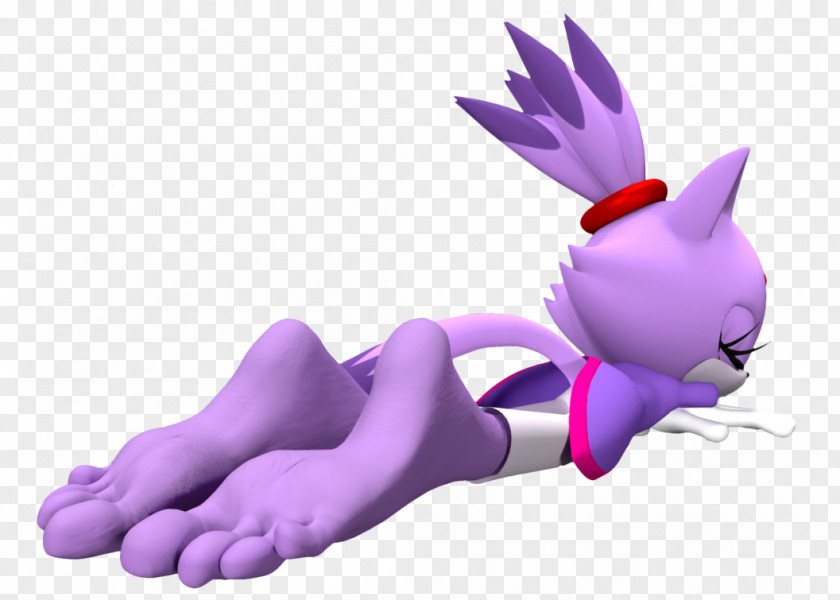 Cat Blaze The Amy Rose Foot Sonic 3D PNG