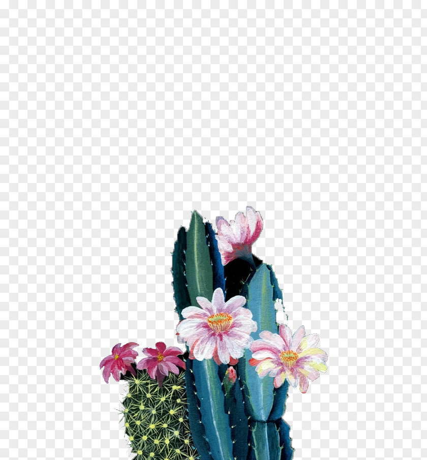 Decorative Plants Floral Design Download Illustration PNG