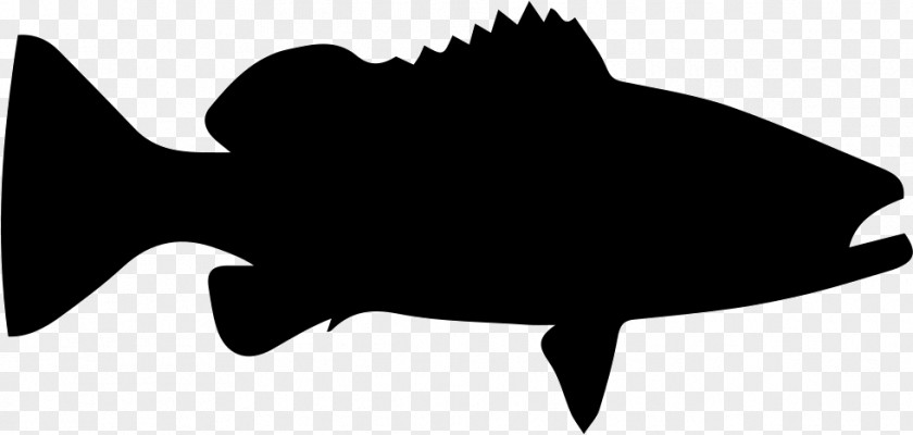 Grouper Fish Cartoon Clip Art PNG