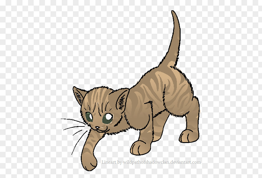 Orange Cat Tabby Whiskers Domestic Short-haired Line Art PNG