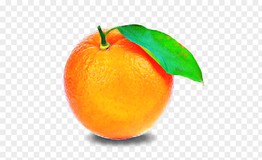 Orange PNG