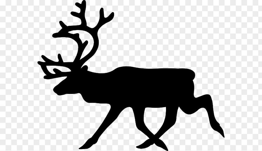 Reindeer Moose Black And White Clip Art PNG