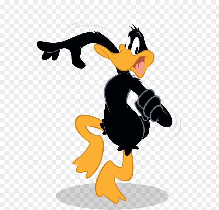 Angry Duck Daffy Elmer Fudd Tasmanian Devil Bugs Bunny Sylvester PNG