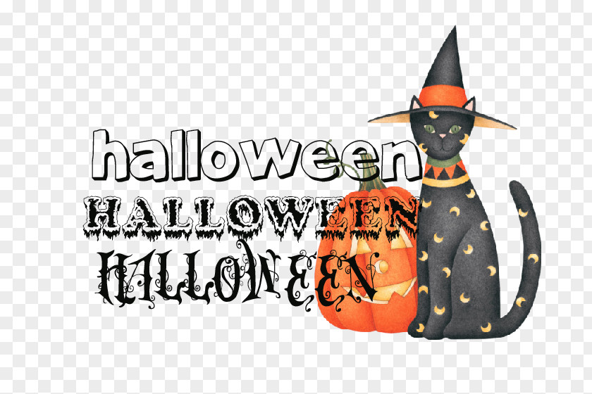 Cat Black Halloween Kitten PNG