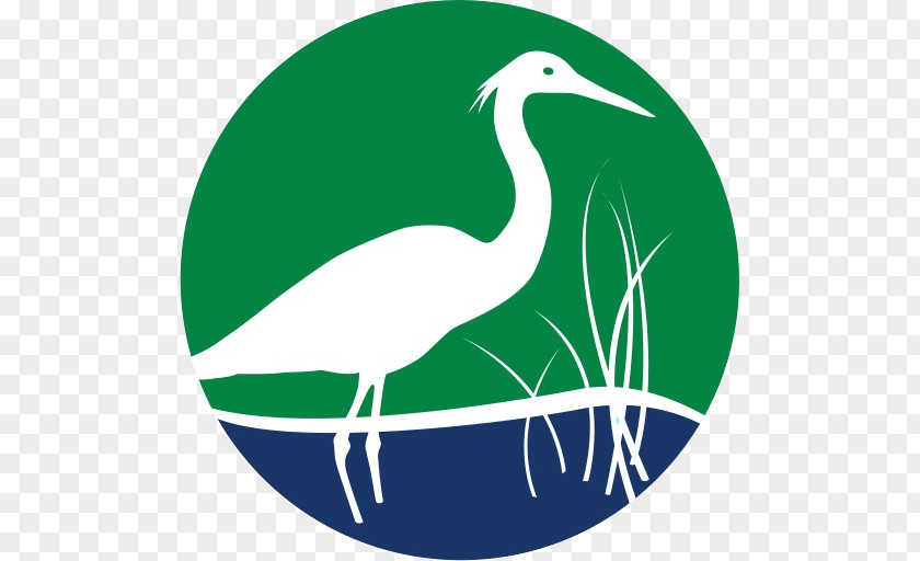 Crane Floridas Water & Land Legacy Matt Wing Court Galt Mile Bird PNG
