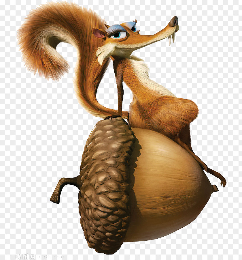 Ice Age Squirrel PNG