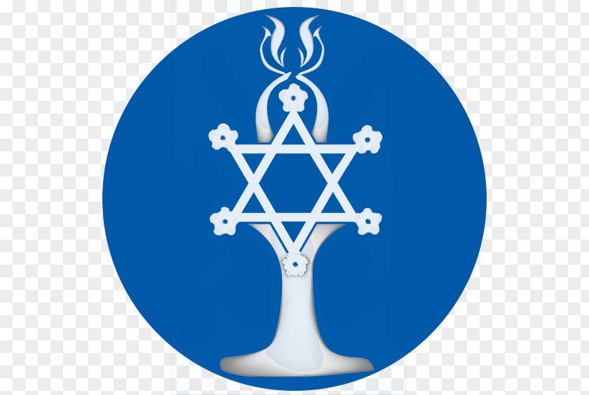 Judaism Mount Sinai Memorial Parks And Mortuaries Jewish People Funeral Home Star Of David PNG
