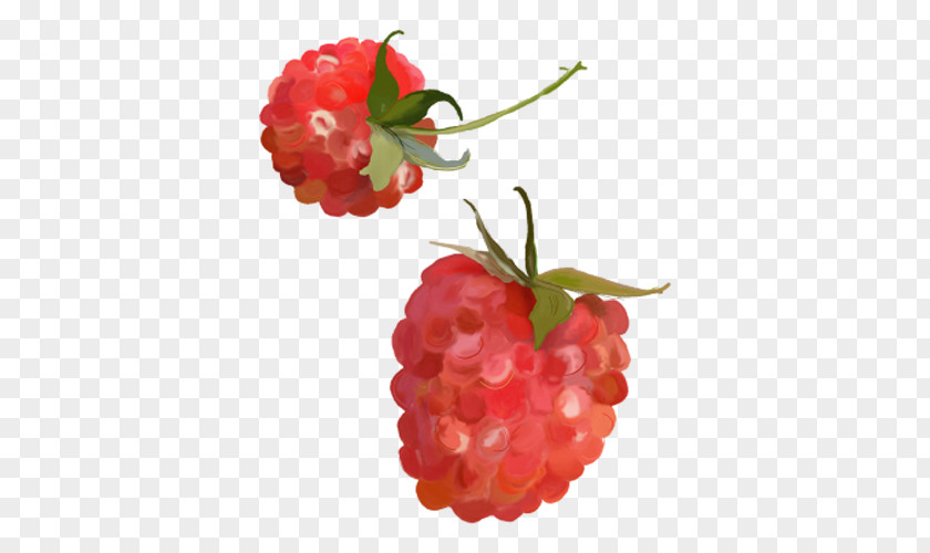 Two Raspberries Raspberry Strawberry PNG