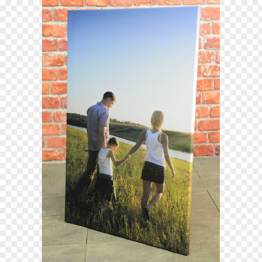 Canvas Print Insurance Picture Frames Family Gel Nails PNG