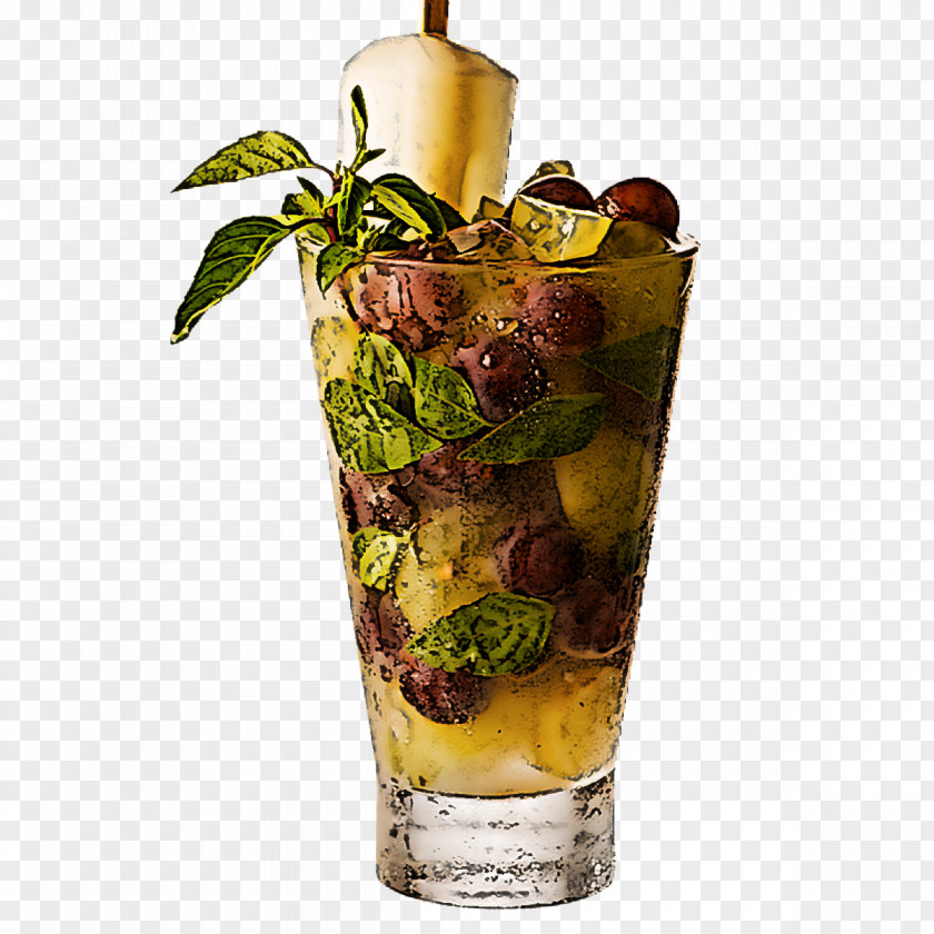 Drink Cocktail Garnish Alcoholic Beverage Liqueur Highball Glass PNG