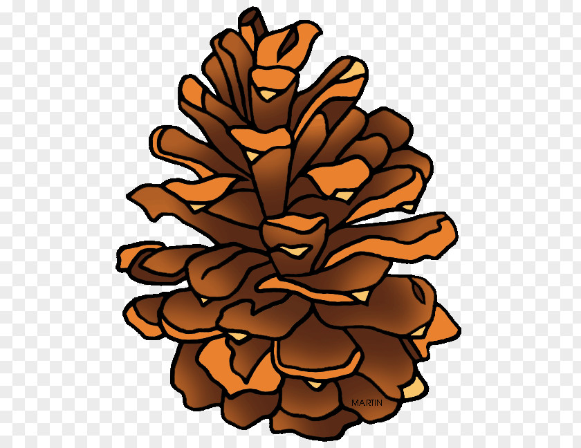 Log Tree Cliparts Stone Pine Conifer Cone Clip Art PNG