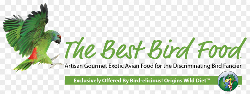 Rice Seed Organic Food Macaw Parrot Bird PNG