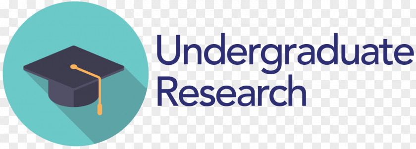 Undergra Marketing Research University Of Warwick Institute Undergraduate PNG