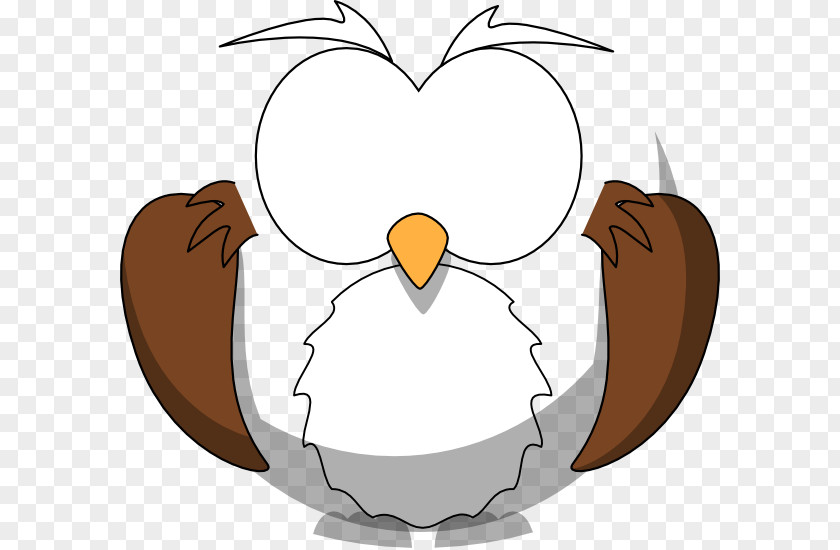 Buho Vector Little Owl Clip Art PNG
