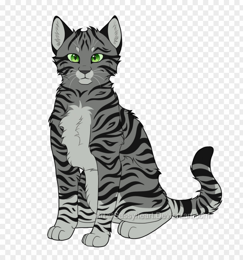 Cat Tabby Tail Whiskers Domestic Short-haired PNG