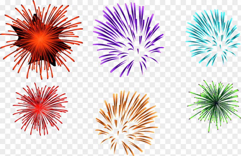 Fireworks Color Fireworks. Lines Connect Download PNG