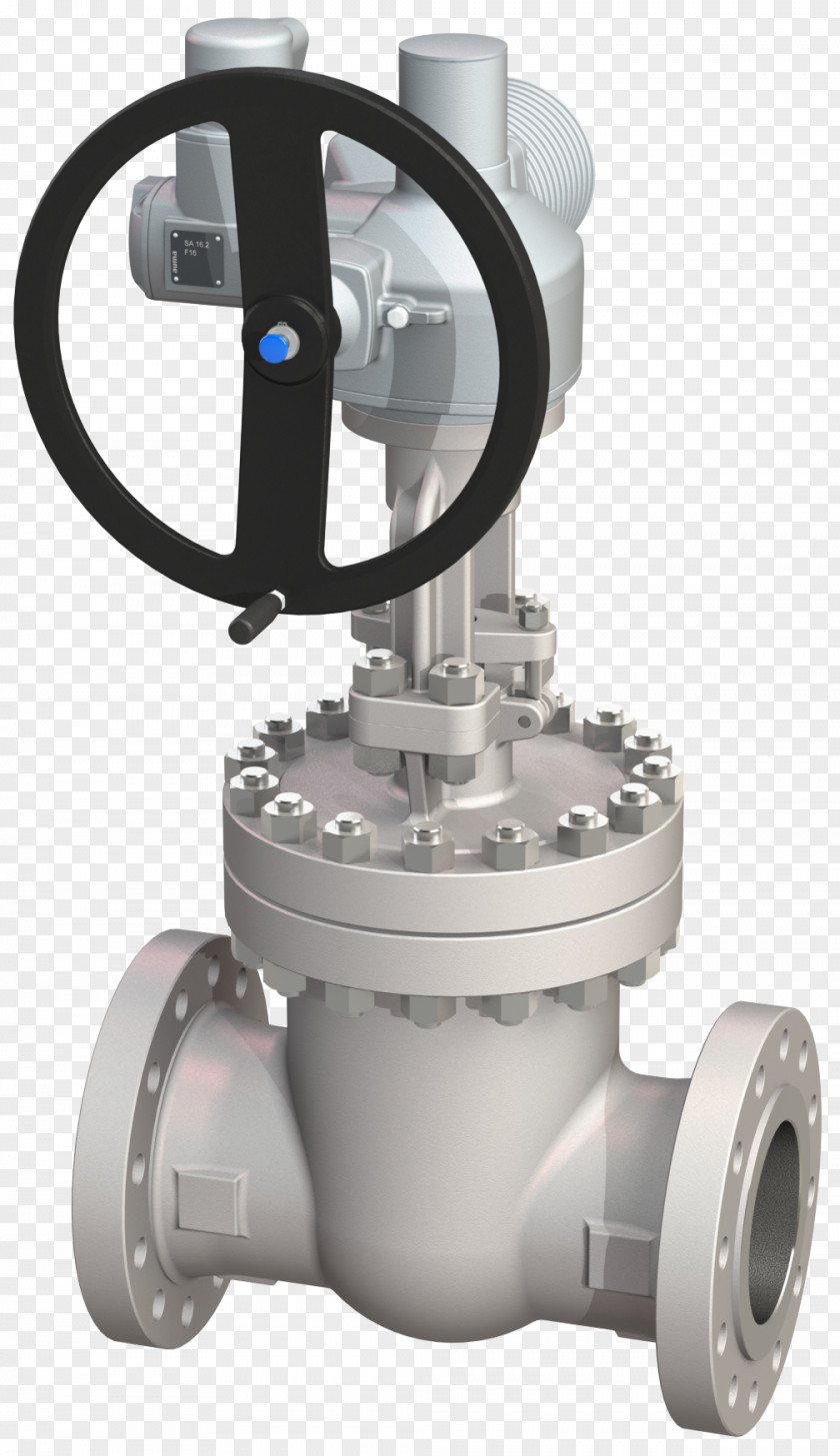 Gate Valve Steel Globe Check PNG