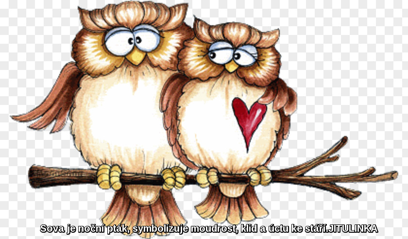 Owl Bird Art Clip PNG