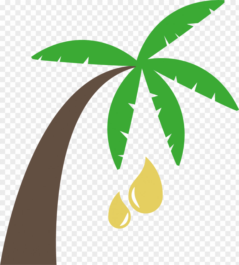 Vegetable Oil Collection Arecaceae Palm Clip Art PNG