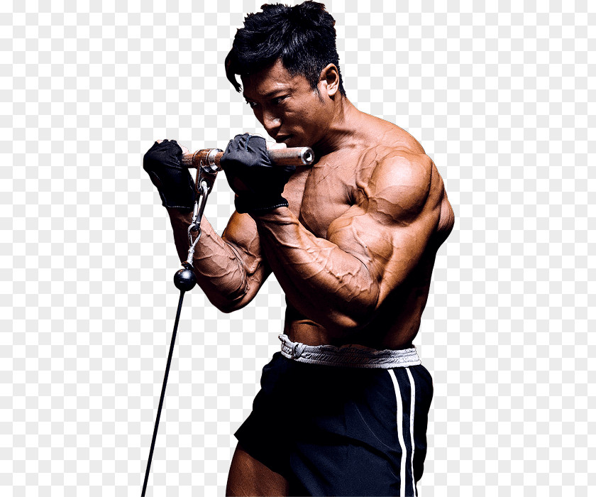 Bodybuilding Physical Fitness Weight Training Personal Trainer Kickboxing PNG