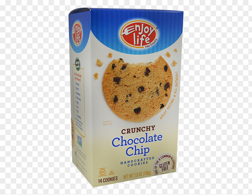 Chocolate Chips Chip Cookie Biscuits Brittle PNG