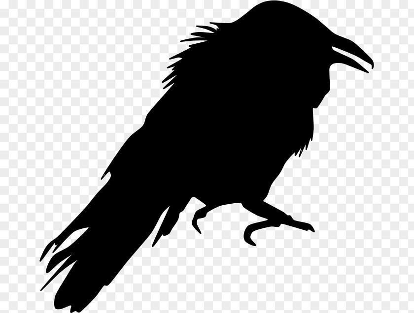 Crow Bird Silhouette Clip Art PNG