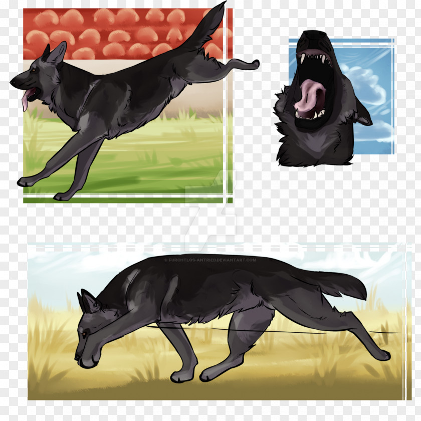 Dog Breed PNG