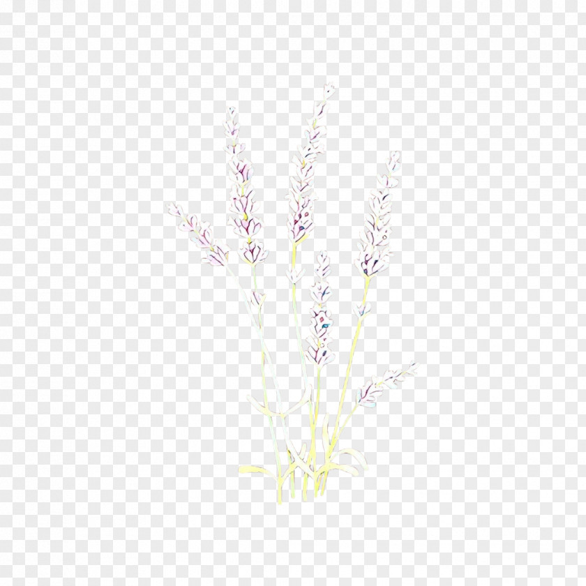 Flower Tree White Twig Plant Branch Grass PNG