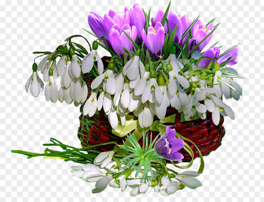 March 8 Flower Snowdrop Clip Art PNG