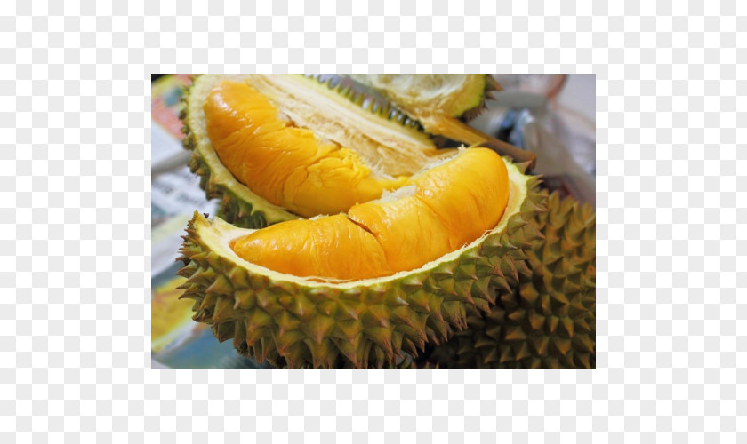 Durian. Durio Zibethinus Fruit Tree Orchard Thai Cuisine PNG