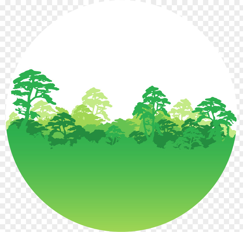Forests Clipart Greenpeace USA Logo University Of Applied Sciences, Kaiserslautern PNG