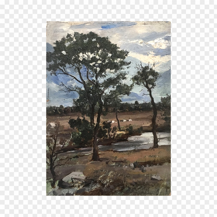 Oil Painting Watercolor Tree Landscape PNG