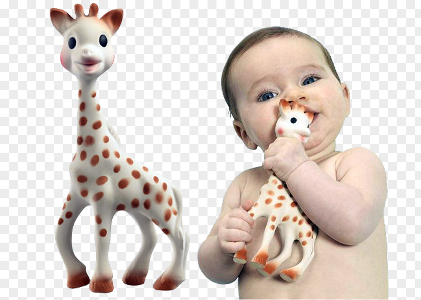 Sandra Bullock Sophie The Giraffe Teether Infant Child PNG